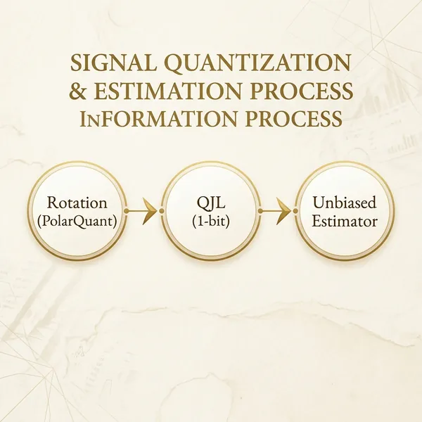The Vacuum Seal vs. The Foam Insert